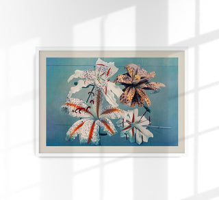 Botanisches Kunstdruckposter „Lily Chart Nr 3" von Ogawa Kazumasa mit hochpräziser japanischer Lilien-Grafik, anatomischen Details und wissenschaftlicher Exaktheit.