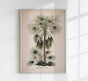 Livistona Humilis Tree Vintage Poster – Botanisch | Vintage | Palmenkunst