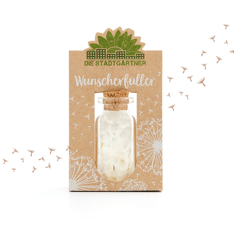 Wunscherfüller mittel – Pusteblumen im Glas — Ansicht 2