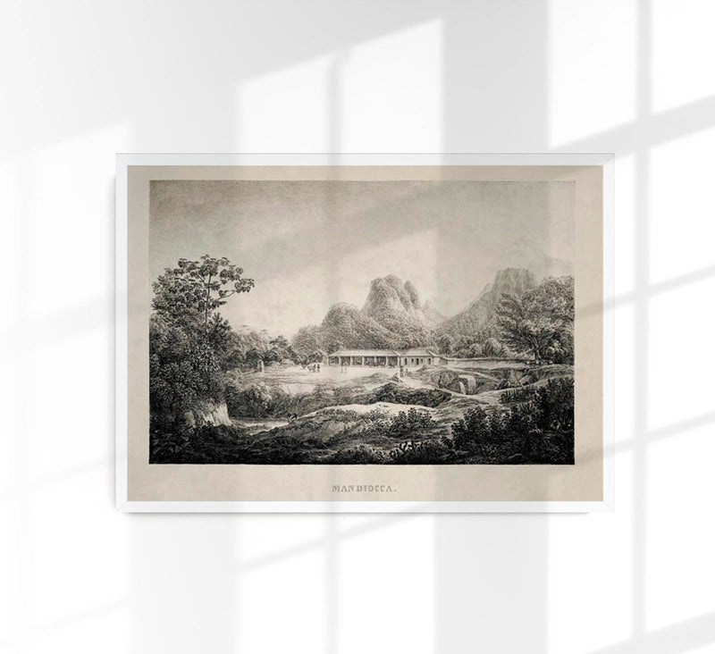Manioca-Stamm Vintage Anthropologie Poster | Fine Art Canvas — Patroa Studio