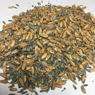Organic Mini Lavender Pillow Mole