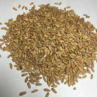 Organic Mini Lavender Pillow Mole