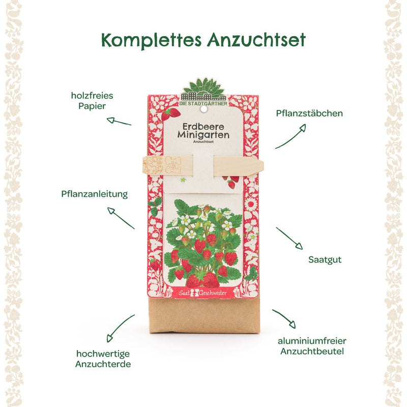 Mini Garden Strawberry Grow Kit – All-in-One Starter Kit — Ansicht 7