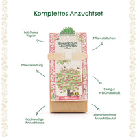Mini Garden Bee Tree – Thousand Blossom Bush Seed Kit — Ansicht 7