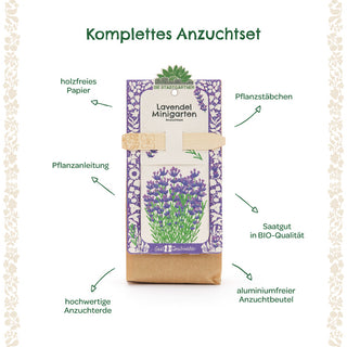Anzuchtset – Minigarten BIO-Lavendel