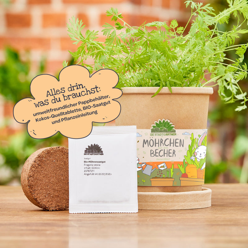 Carrots from a Cup – Organic Seed Growing Kit for Children — Ansicht 4
