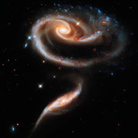 Rose of Galaxies by NASA – Kunstdruck Poster — Ansicht 3