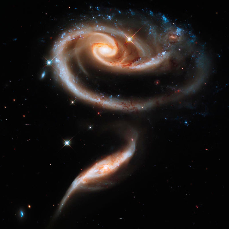 Rose of Galaxies by NASA – Kunstdruck Poster — Ansicht 3