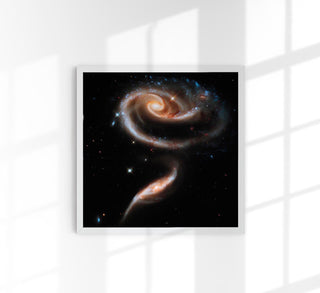 Rose of Galaxies by NASA