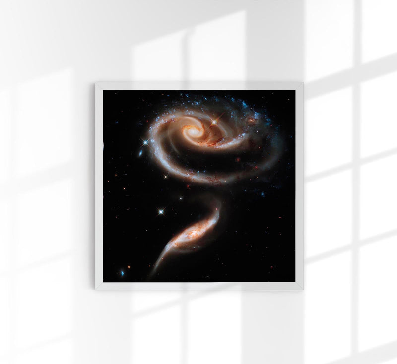 Rose of Galaxies by NASA – Kunstdruck Poster — Patroa Studio