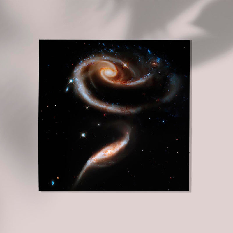 Rose of Galaxies by NASA – Kunstdruck Poster — Ansicht 2