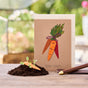 Osterkarte „Frohe Ostern“ mit Saatpapier – Wildblumenmischung zum Einpflanzen