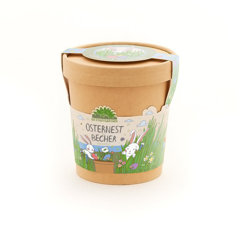 Osternest aus dem Becher – Anzuchtset Ostergras zum Selberpflanzen — Ansicht 2