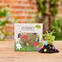 Colorful Easter Grass Confetti – Seeds & Wildflower Seed Paper — Ansicht 1