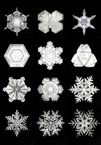 Snowflakes by Wilson Bentley – Kunstdruck Schwarzweiß Makrofotografie — Ansicht 3