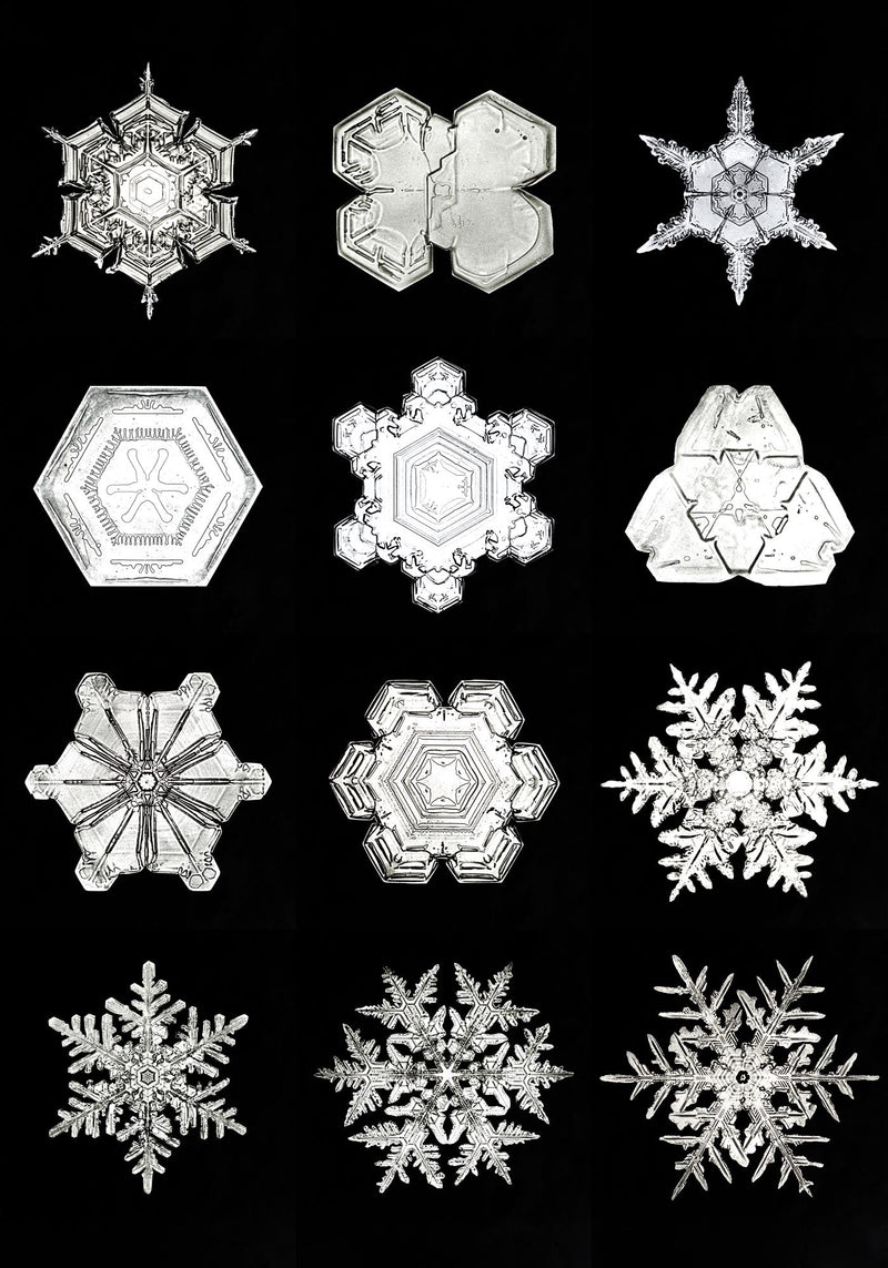 Snowflakes by Wilson Bentley – Kunstdruck Schwarzweiß Makrofotografie — Ansicht 3
