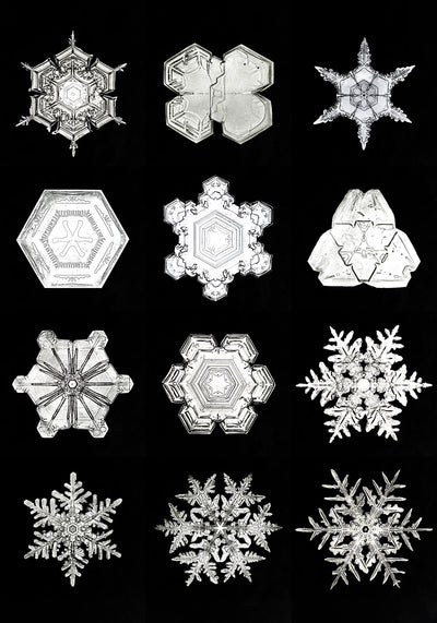 Snowflakes by Wilson Bentley - Black and White Macro Photography Art Print