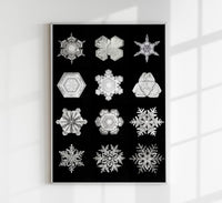 Snowflakes by Wilson Bentley – Kunstdruck Schwarzweiß Makrofotografie — Ansicht 1