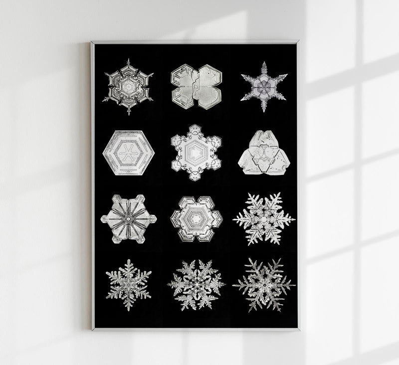 Snowflakes by Wilson Bentley – Kunstdruck Schwarzweiß Makrofotografie — Patroa Studio