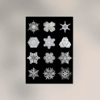 Snowflakes by Wilson Bentley – Kunstdruck Schwarzweiß Makrofotografie — Ansicht 2