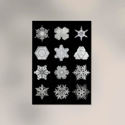 Snowflakes by Wilson Bentley - Black and White Macro Photography Art Print