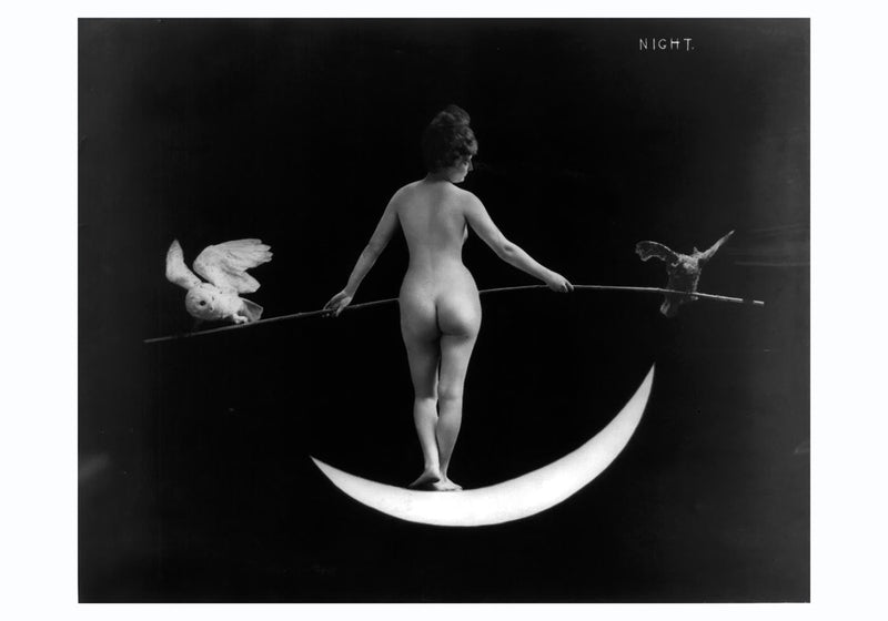 Nude Photography of Naked Woman – Night (1895) von F.B. Johnson & Company — Ansicht 3