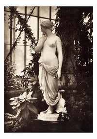 Ancient Greek Nude – Venus & Plants | Fine Art Print & Canvas — Ansicht 3