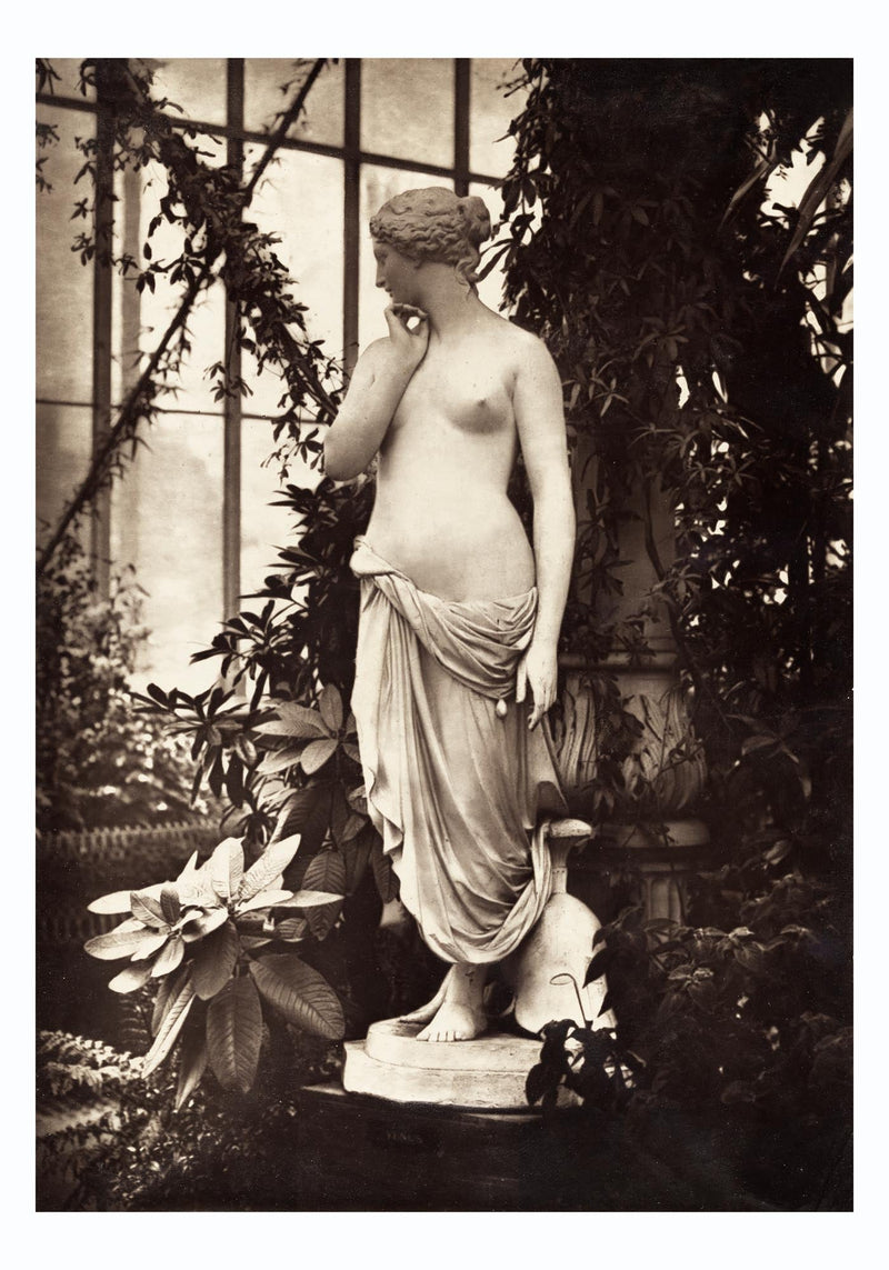 Ancient Greek Nude – Venus & Plants | Fine Art Print & Canvas — Ansicht 3