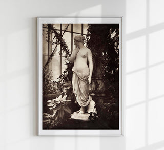 Kunstprint mit antiker Venus-Skulptur, umgeben von Pflanzen, als Fine Art Paper (225g) oder Canvas (380g) in A3–A0/B2–B0, ohne Rahmen.
