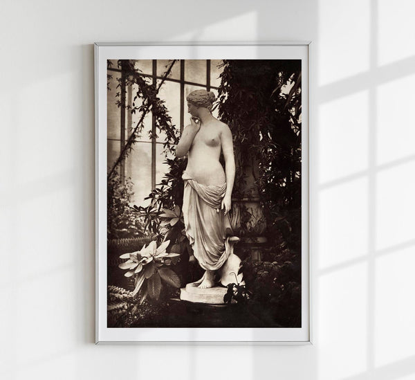Ancient Greek Nude – Venus & Plants | Fine Art Print & Canvas