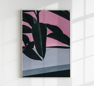 Close up of Indoor Rubber Plant – Makro-Kunstdruck von Patroa Studio