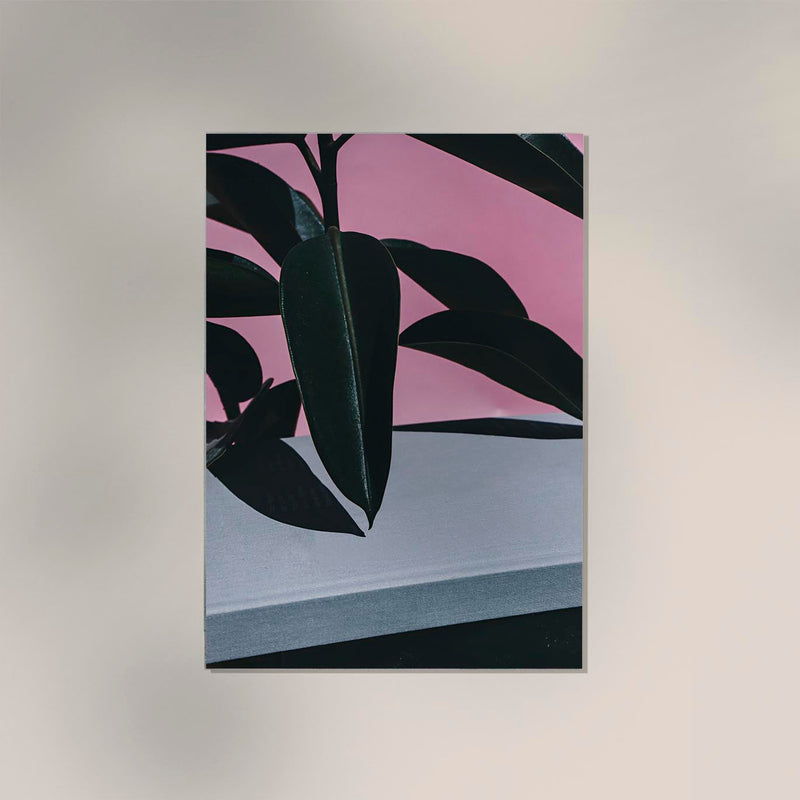Close up of Indoor Rubber Plant – Macro Art Print by Patroa Studio — Ansicht 2