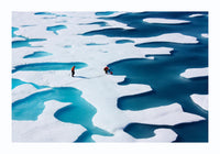 The ICESCAPE mission by NASA – Kunstfotografie-Poster — Ansicht 3