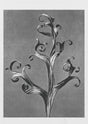 Karl Blossfeldt Plant Photogravure Nr 10 – Handgedruckt Berlin
