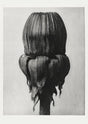 Karl Blossfeldt Plant Photogravure Nr 26 Poster – Handgedruckt Berlin