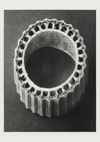 Karl Blossfeldt Plant Photogravure No 34 – Art Print Leaf Structure — Ansicht 1