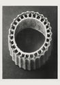 Karl Blossfeldt Plant Photogravure No 34 – Art Print Leaf Structure