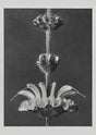 Karl Blossfeldt Plant Photogravure Nr 48 – Fotogravüre Kunstdruck