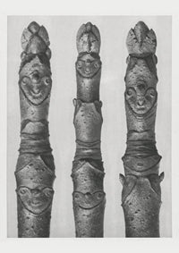 Karl Blossfeldt Plant Photogravure No. 53 – Art Print Photogravure — Ansicht 1