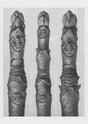 Karl Blossfeldt Plant Photogravure No. 53 – Art Print Photogravure