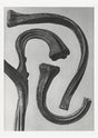 Karl Blossfeldt Plant Photogravure No. 57 – Art Print