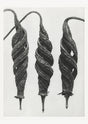 Karl Blossfeldt Plant Photogravure No. 58 – Art Print Berlin