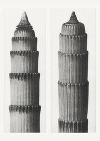 Karl Blossfeldt Plant Photogravure No. 92 Art Print Poster — Ansicht 1
