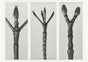 Karl Blossfeldt Plant Photogravure Nr 96 – Kunstdruck