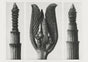 Karl Blossfeldt Plant Photogravure Nr 99 – Kunstdruck Berlin