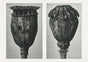 Karl Blossfeldt Plant Photogravure Nr 115 – Kunstdruck Berliner Atelier