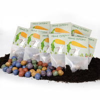 10x5 Flower Seed Bombs in a "Bunny with Carrots" Bag - Wildflower Seeds for Gifting — Ansicht 7