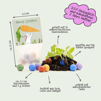 10x5 Flower Seed Bombs in a "Bunny with Carrots" Bag - Wildflower Seeds for Gifting — Ansicht 6