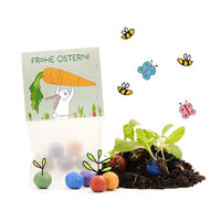 10x5 Flower Seed Bombs in a "Bunny with Carrots" Bag - Wildflower Seeds for Gifting — Ansicht 2