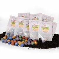 10x5 Flower Marbles in a Sachet Spring Greetings – Wildflower Seeds — Ansicht 7